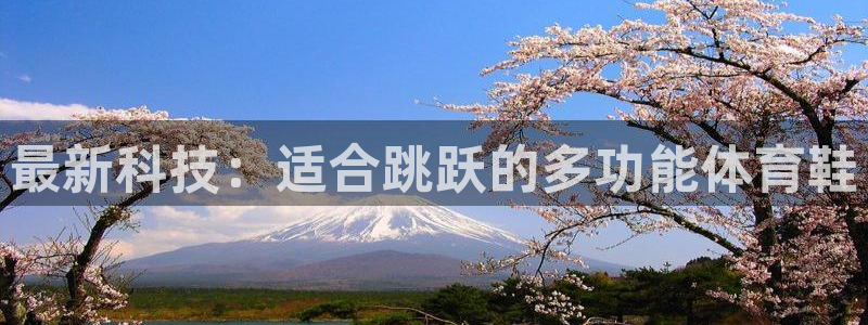 领航国际4平台注册：最新科技：适合跳跃的多功能体育鞋