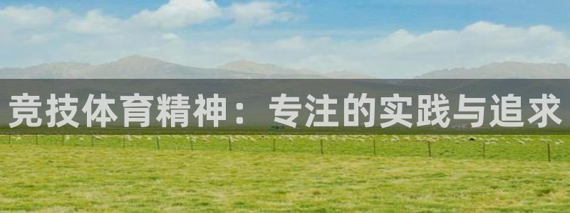 领航国际体育凯捷平台代理：竞技体育精神：专注的实践与追求