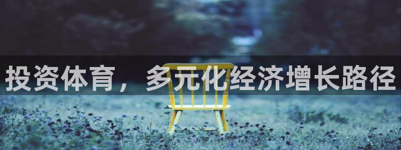 领航国际3代理：投资体育，多元化经济增长路径