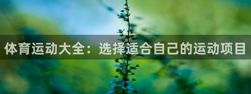 领航国际体育用品：体育运动大全：选择适合自己的运动项目