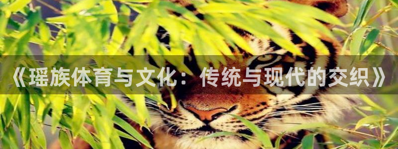 领航国际体育4：《瑶族体育与文化：传统与现代的交织》