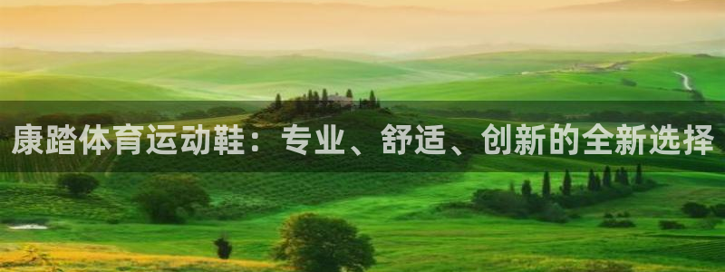 东莞市领航国际电子科技有限公司：康踏体育运动鞋：专业、舒适、创新的全新选择