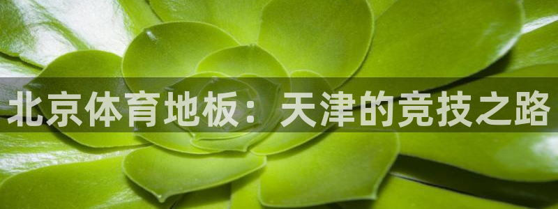 领航国际招商：北京体育地板：天津的竞技之路