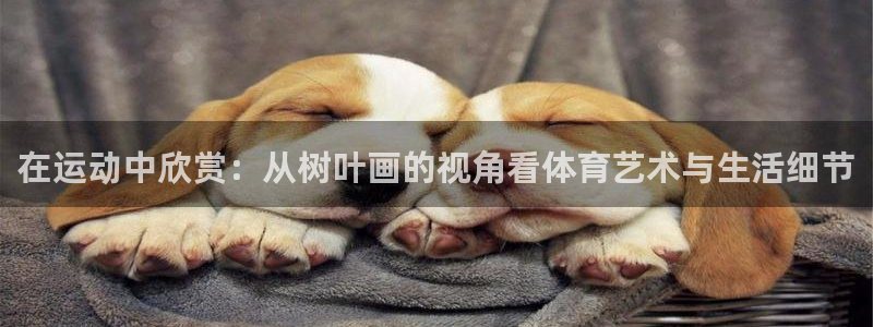 领航国际4平台注册：在运动中欣赏：从树叶画的视角看体育艺术与生活细节