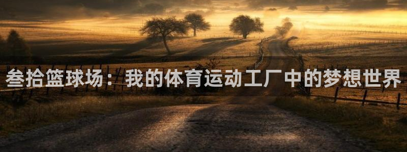 意昂4官网：叁拾篮球场：我的体育运动工厂中的梦想世界