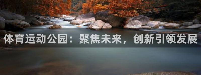 领航国际体育代理申请流程