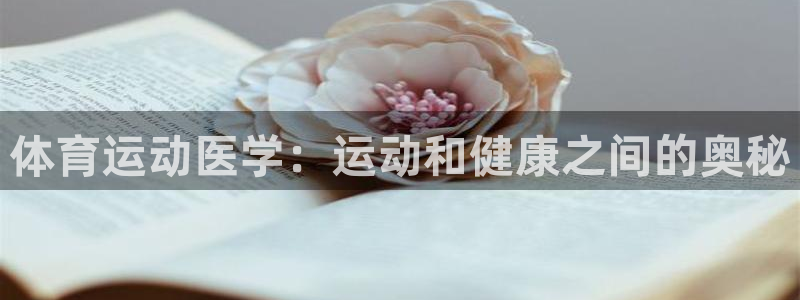 领航国际2体育
