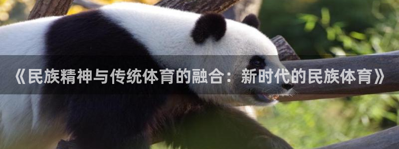 意昂包