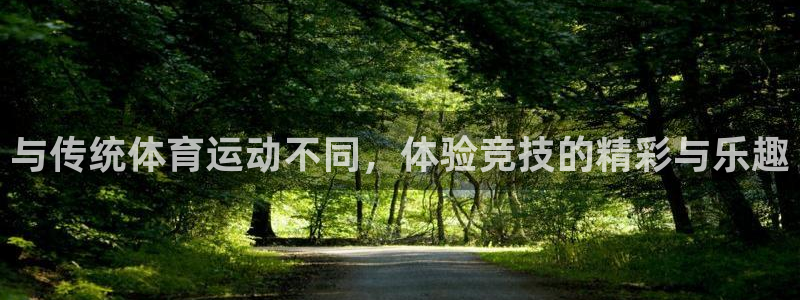 领航国际集团官网