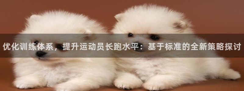 领航国际2登录地址：优化训练体系，提升运动员长跑水平：基于标准的全新策略探讨