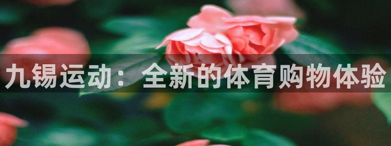 领航国际体育2官网入口：九锡运动：全新的体育购物体验