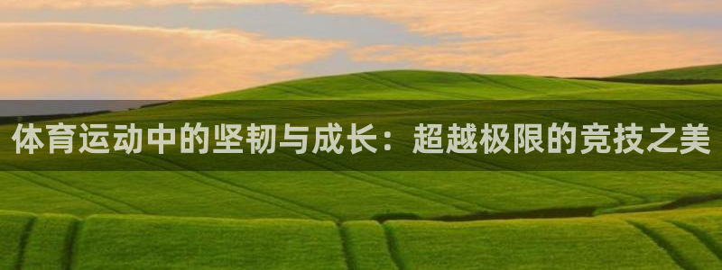 领航国际3代理：体育运动中的坚韧与成长：超越极限的竞技之美