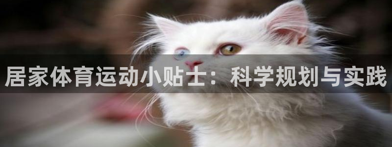 意昂5招商：居家体育运动小贴士：科学规划与实践