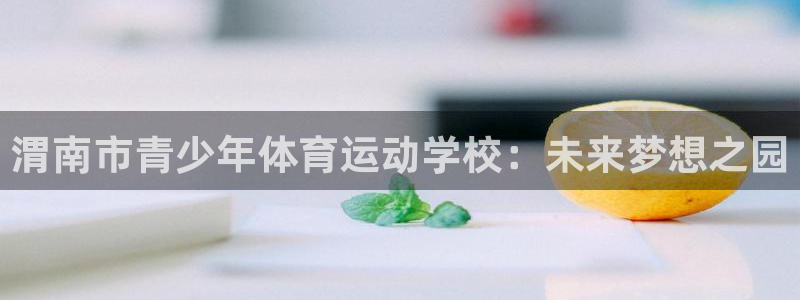 领航国际体育2：渭南市青少年体育运动学校：未来梦想之园