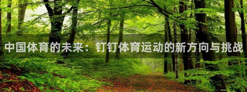 意昂3：中国体育的未来：钉钉体育运动的新方向与挑战