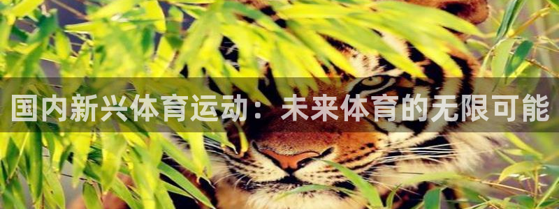 领航国际体育平台总代理：国内新兴体育运动：未来体育的无限可能