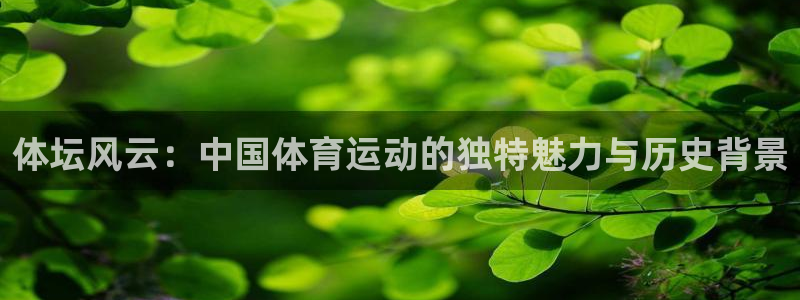 www.意昂体育.com：体坛风云：中国体育运动的独特魅力与历史背景