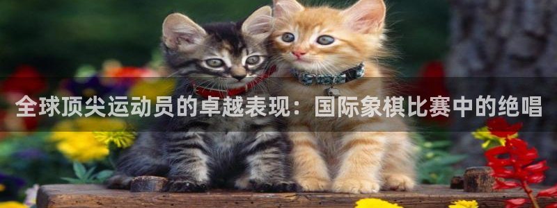 领航国际体育平台总代理：全球顶尖运动员的卓越表现：国际象棋比赛中的绝唱