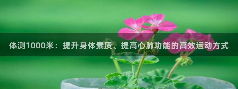 东莞市大朗意昂五金厂：体测1000米：提升身体素质、提高心肺功能的高效运动方式