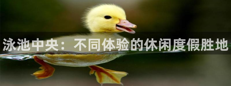 意昂4平台注册：泳池中央：不同体验的休闲度假胜地