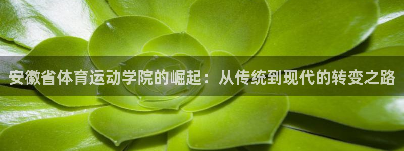 领航国际体育游戏：安徽省体育运动学院的崛起：从传统到现代的转变之路