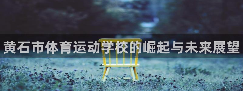 意昂5招商：黄石市体育运动学校的崛起与未来展望