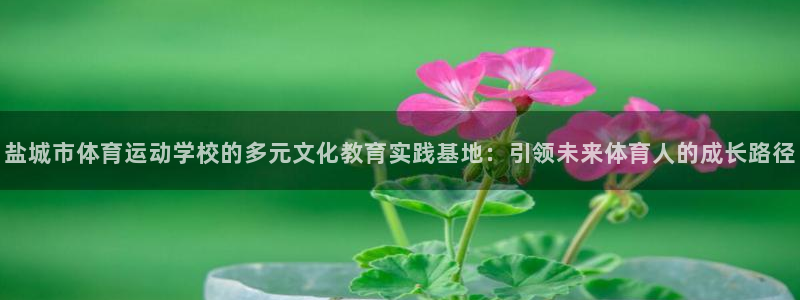 领航国际官网入口：盐城市体育运动学校的多元文化教育实践基地：引领未来体育人的成长