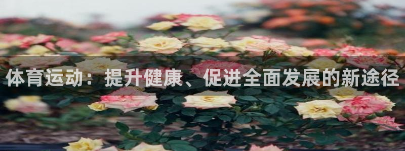 领航国际：体育运动：提升健康、促进全面发展的新途径