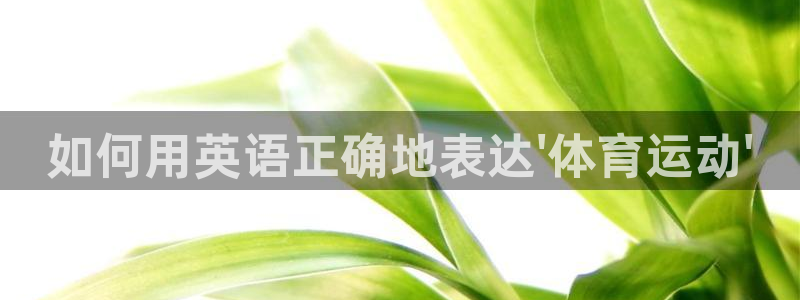 意昂平台登陆：如何用英语正确地表达\'体育运动\'
