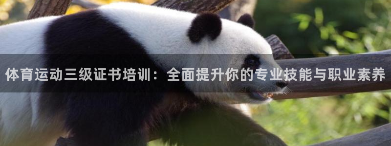 意昂体育官网：体育运动三级证书培训：全面提升你的专业技能与职业素养
