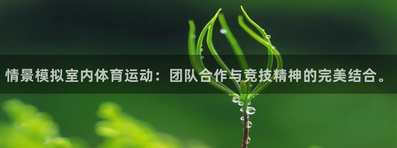 领航国际体育注册登录入口：情景模拟室内体育运动：团队合作与竞技精神的完美结合。