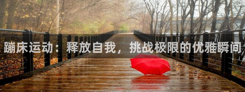 领航国际体育网页版入口：蹦床运动：释放自我，挑战极限的优雅瞬间