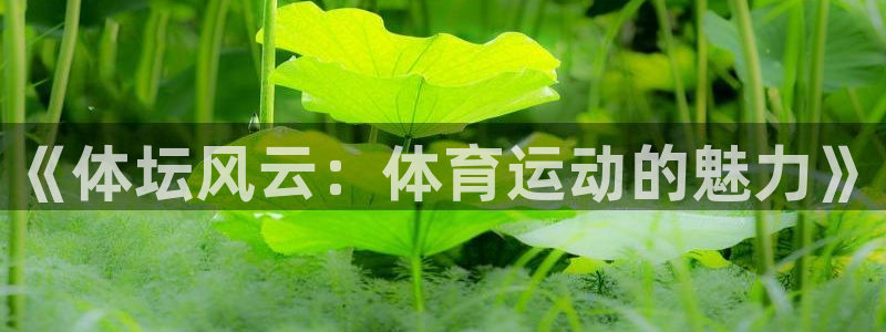 成都意昂电子有限公司：《体坛风云：体育运动的魅力》
