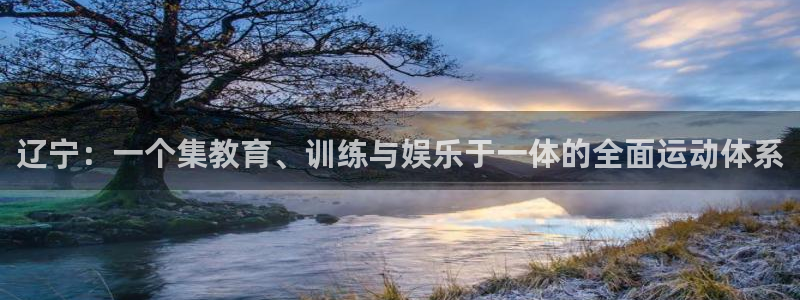 领航国际3登录：辽宁：一个集教育、训练与娱乐于一体的全面运动体系