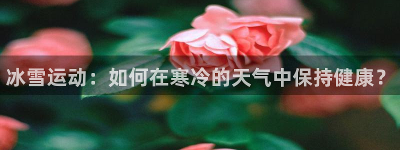 领航国际体育凯捷平台招商：冰雪运动：如何在寒冷的天气中保持健康？