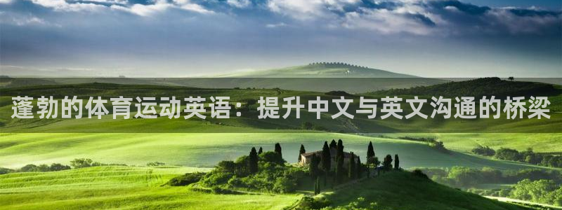 领航国际5注册：蓬勃的体育运动英语：提升中文与英文沟通的桥梁