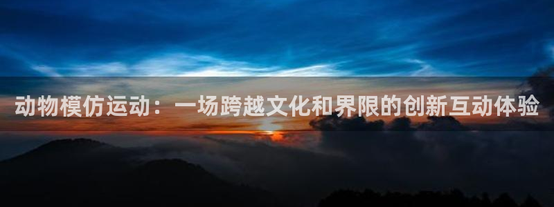 领航国际体育app下载